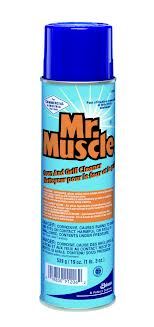 Mr. Muscle Oven Cleaner 19-oz